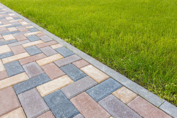 Best Driveway Pavers Near Me  in Alamosa East, CO